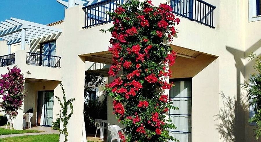 Apartamentos Primasud Punta Prima  Luaran gambar